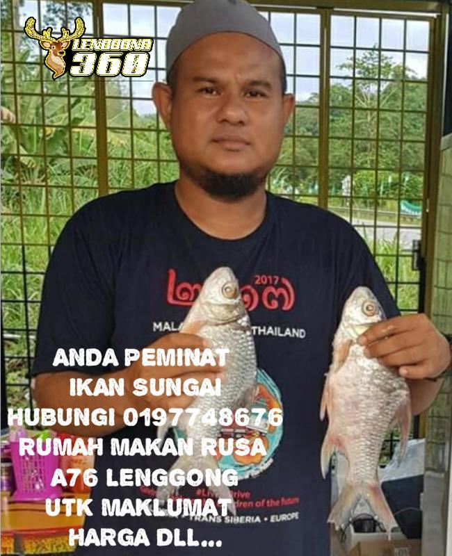 Branda Kampung Sumpitan Lenggong Tiada Sungai Otel Kampong Ulu Jepai Dış mekan fotoğraf