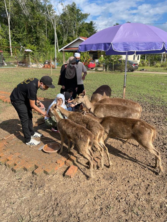 Branda Kampung Sumpitan Lenggong Tiada Sungai Otel Kampong Ulu Jepai Dış mekan fotoğraf