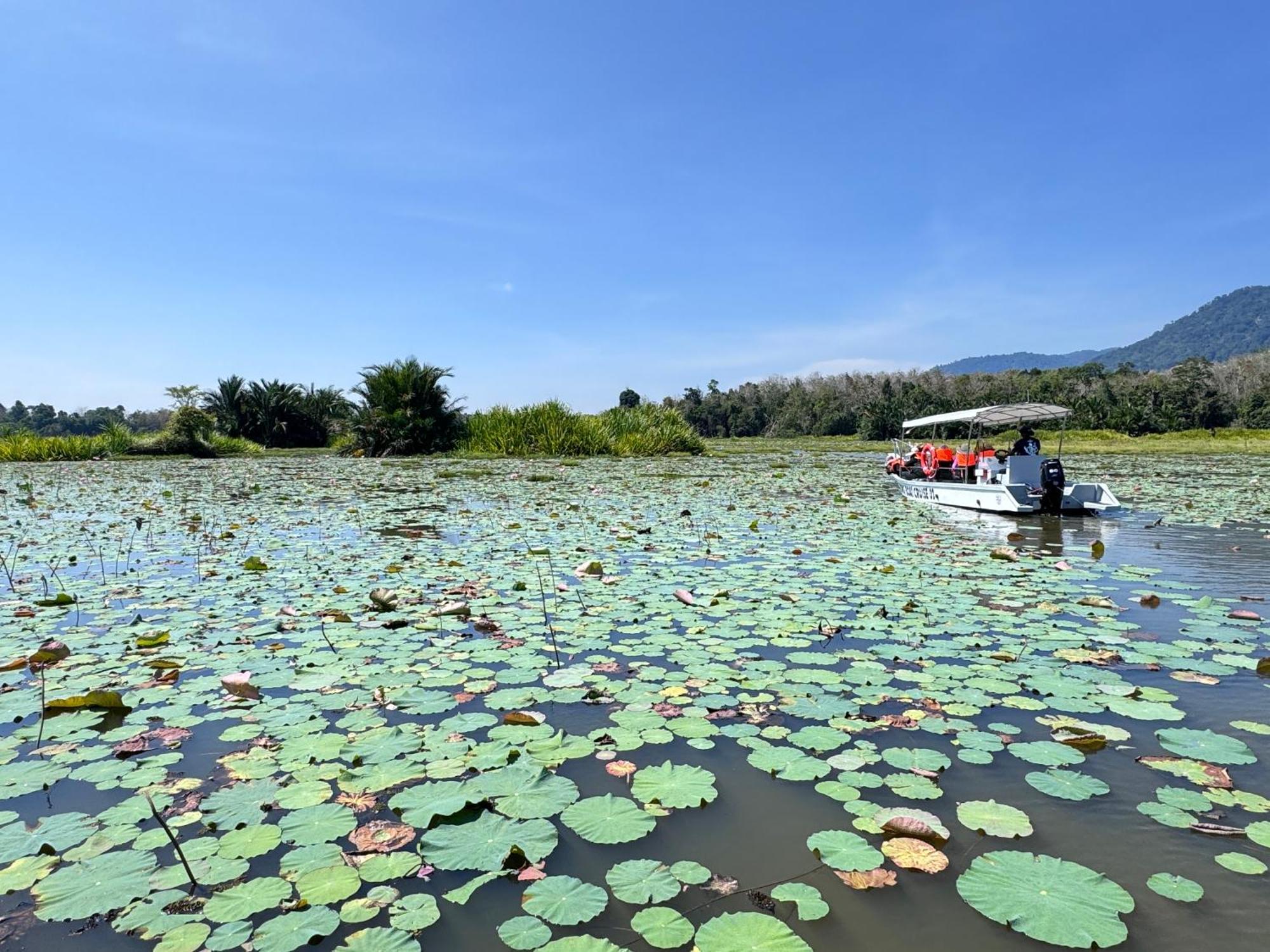 Branda Kampung Sumpitan Lenggong Tiada Sungai Otel Kampong Ulu Jepai Dış mekan fotoğraf